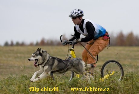 Trnavka 08 - 391.jpg